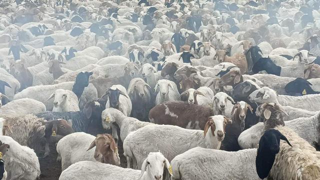 Image related to the ad